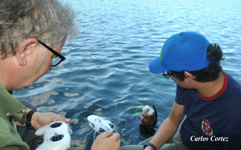 investigacion